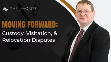 Moving Forward: Custody, Visitation and Relocation Disputes