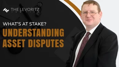 What’s at Stake? Understanding Asset Disputes
