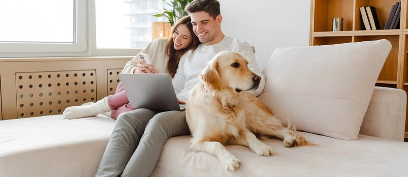 What is a Domestic Partnership: Legal Implications in Manhattan, NY