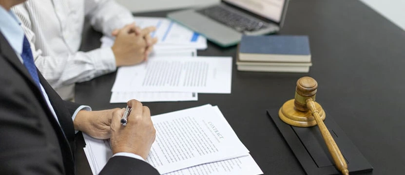 Constitutional Issues in Appellate Litigation