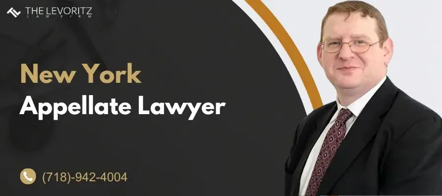 New York Appellate Lawyer-image